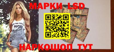 гидропоника Ипатово