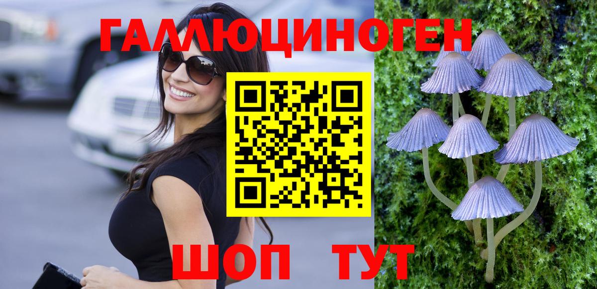 Галлюциногенные грибы MAGIC MUSHROOMS  закладка  Королёв  Вход с VPN 
